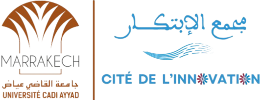 Cité de l'Innovation, Université Cadi Ayyad